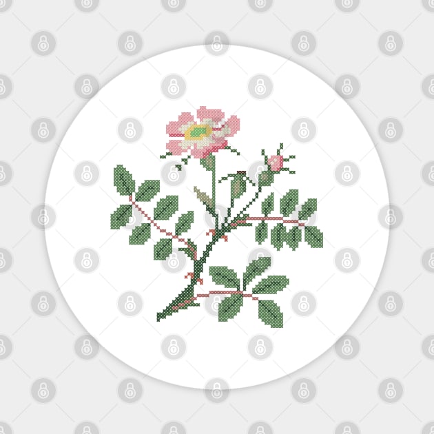 Iowa North Dakota State Flower Wild Prairie Rose Magnet by inotyler